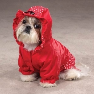 modello di vestiti per cani con cappuccio