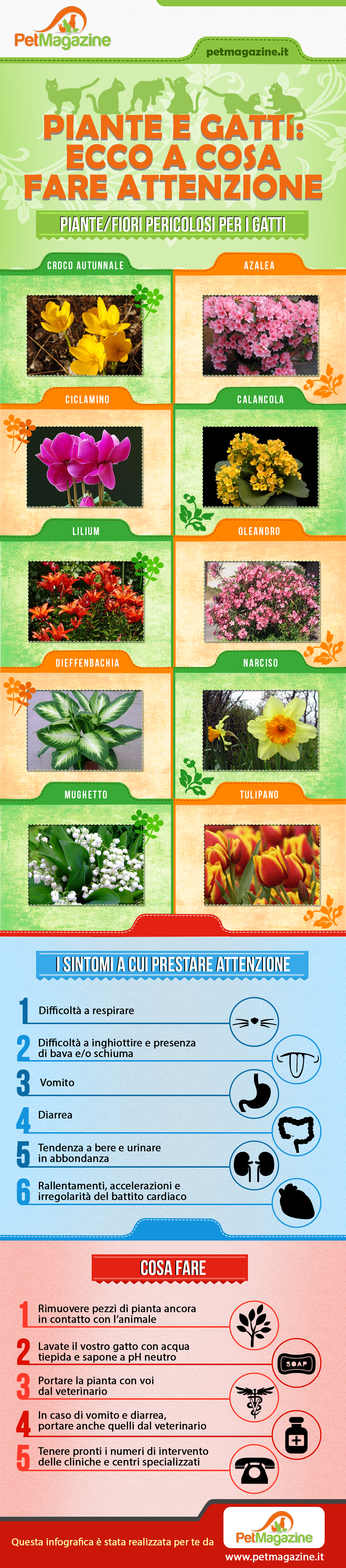 piante-velenose-infografica