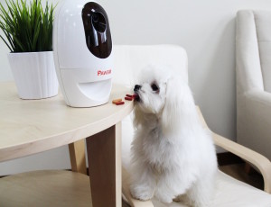 Pawbo-Wi-Fi-Pet-Cam-and-Treat-Dispenser-05