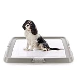 AqpetFriends BauBox - Lettiera per Cani, Toilette Pieghevole 86x62 cm | Vassoio Porta Tappetini Assorbenti, Ideale per Addestramento Cuccioli e Uso in Casa