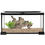 QWORK® terrario in vetro per rettili, reptile growth terrario, 30 * 20 * 15cm per una varietà di rettili e insetti