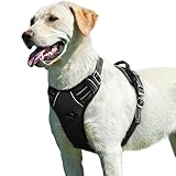 Eagloo Pettorina Cane Taglia Grande, Pettorina ad h Antifuga, Imbracatura per Cani Anti Tiro con Doppio Gancio, Imbracatura Robusto e Regolabile per Addestramento Passeggiate, L, Nera
