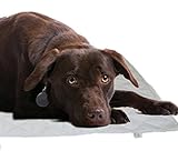 Tappeto magnetico Wellness per cane - Magnetoterapia per animali