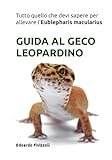 Guida al geco leopardino: Tutto quello che devi sapere sull'Eublepharis macularis
