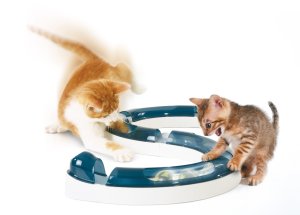 modello di giochi per gatti a percorso con palline