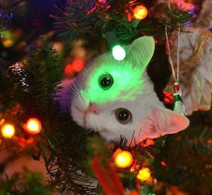 regali per gatti sotto l'albero di natale