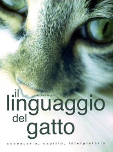 Comportamento dei gatti