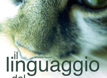 Comportamento dei gatti