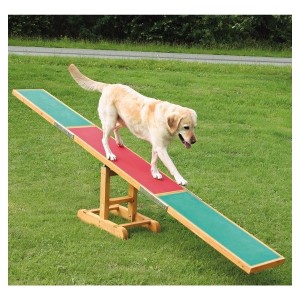 cani-altalena-bascula-agility