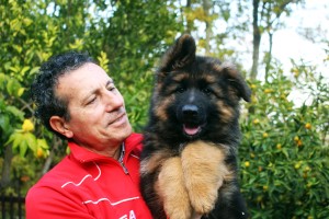 cucciolo-di-casa-falcone-pelo-lungo